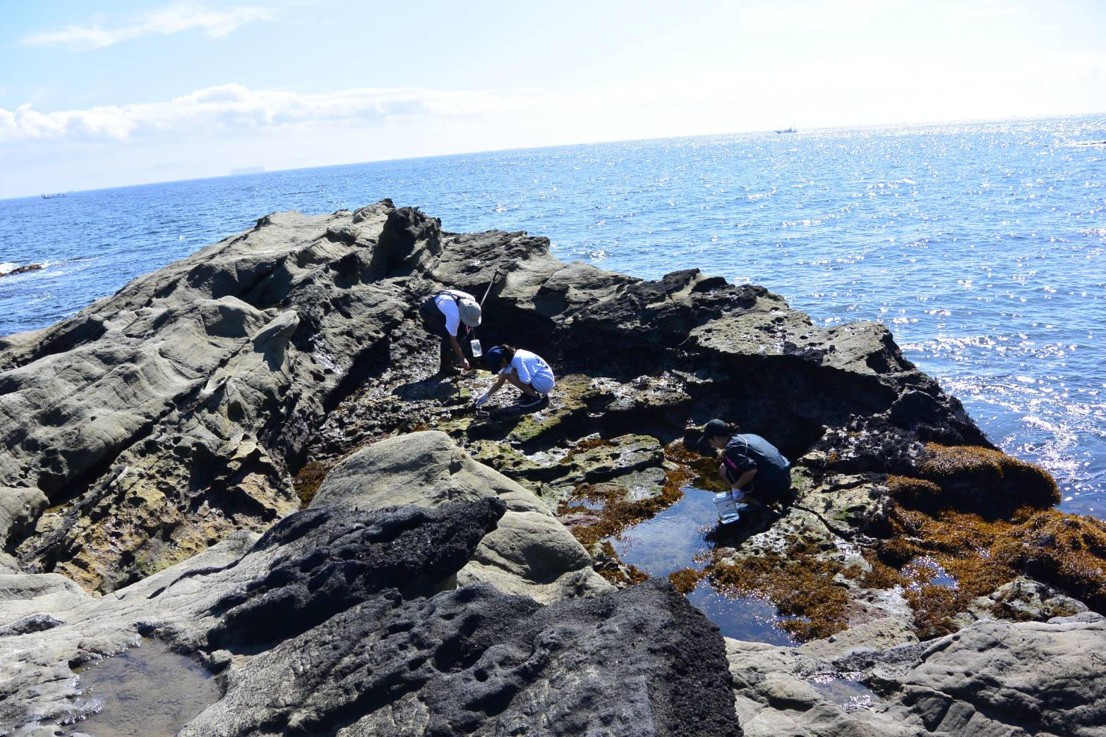 三浦半島6