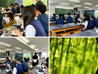 2508063　植物ゼミ12　本文