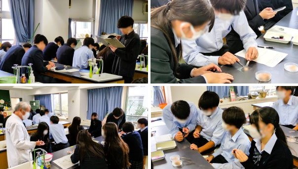 2510305　生物基礎11　本文