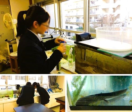 2601096　餌やり21　本文