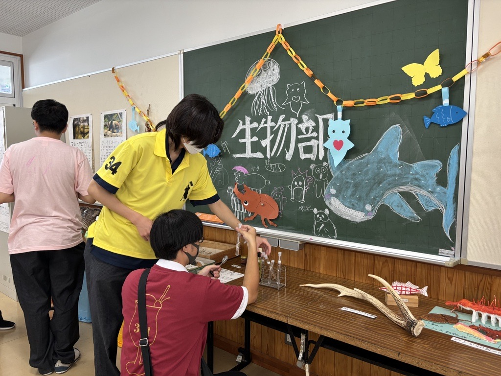 文化祭生物部③