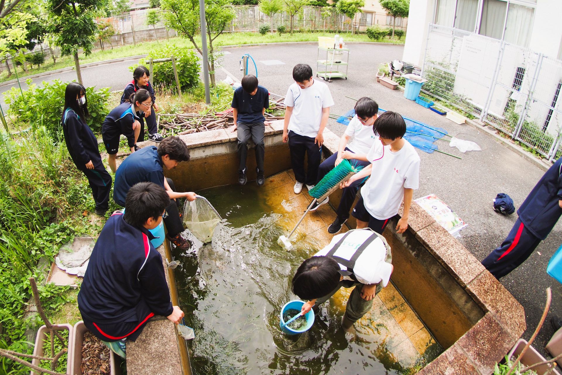 池掃除②.JPG