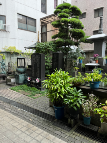 スクリーンショット 2025-11-06 184030