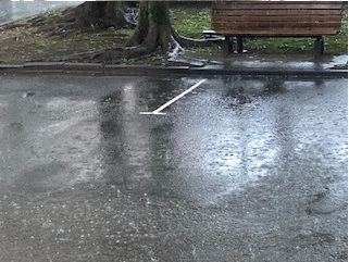 0800724_大雨2タイトルなし