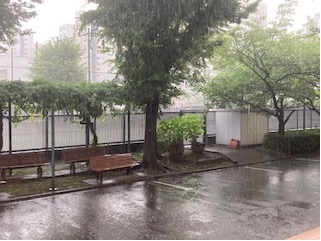 0800724_大雨１タイトルなし