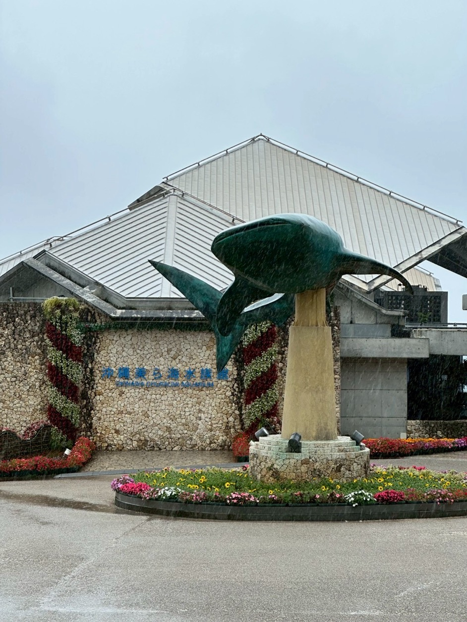 1.Image