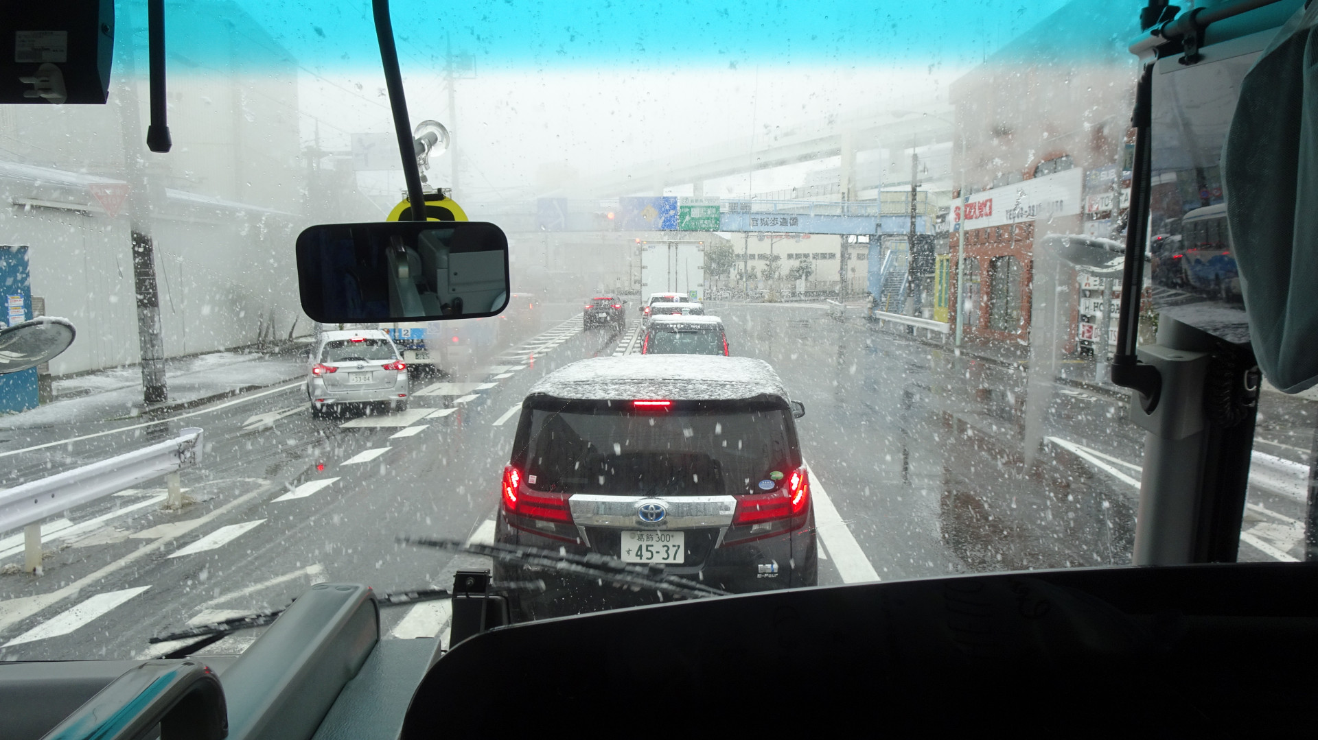DSC02913.JPG