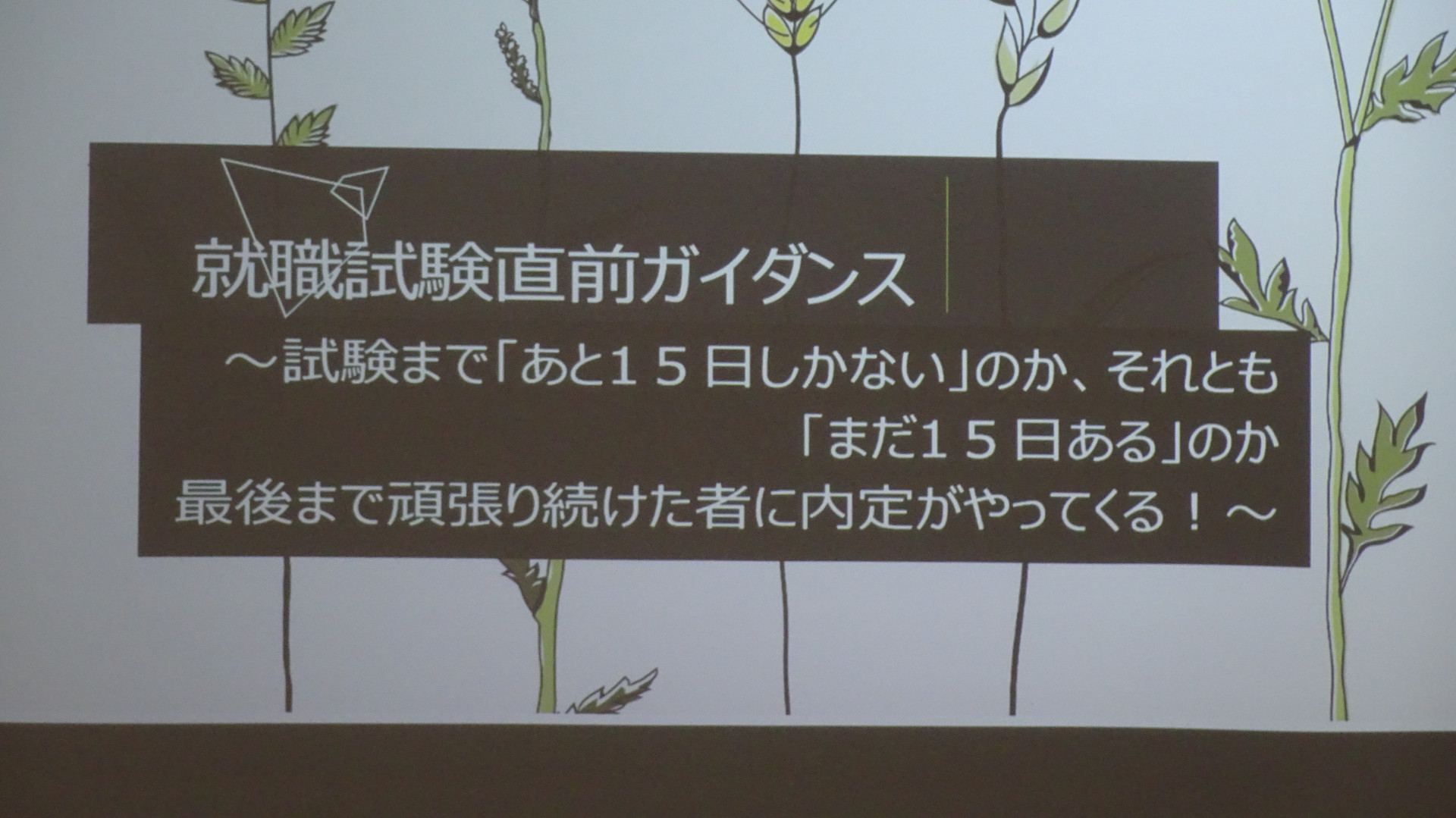 DSC03909.JPG