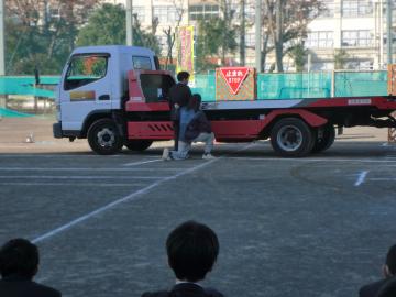 補整後CIMG4856.JPG