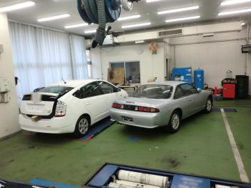 補整後CIMG4981.JPG