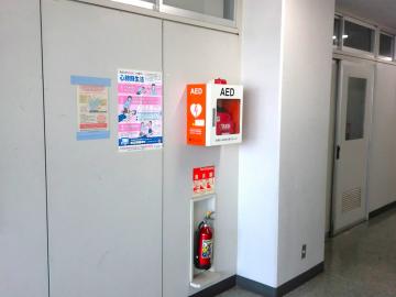 補整後CIMG5001.JPG