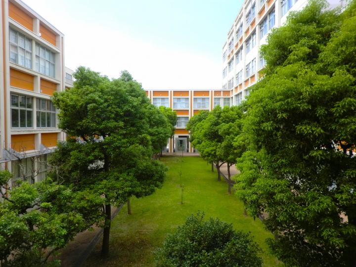 補正後CIMG4310.JPG