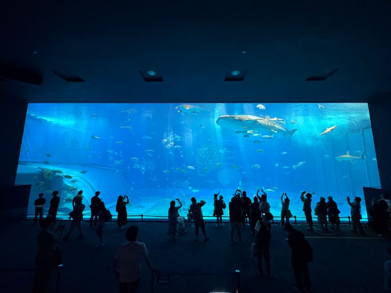 美ら海水族館_04