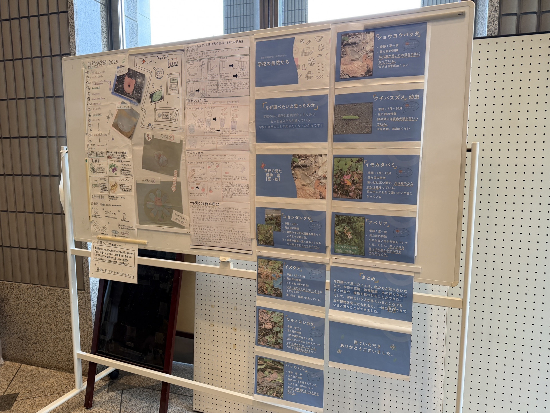 R8_0320（文化の祭典・自然科学同好会）