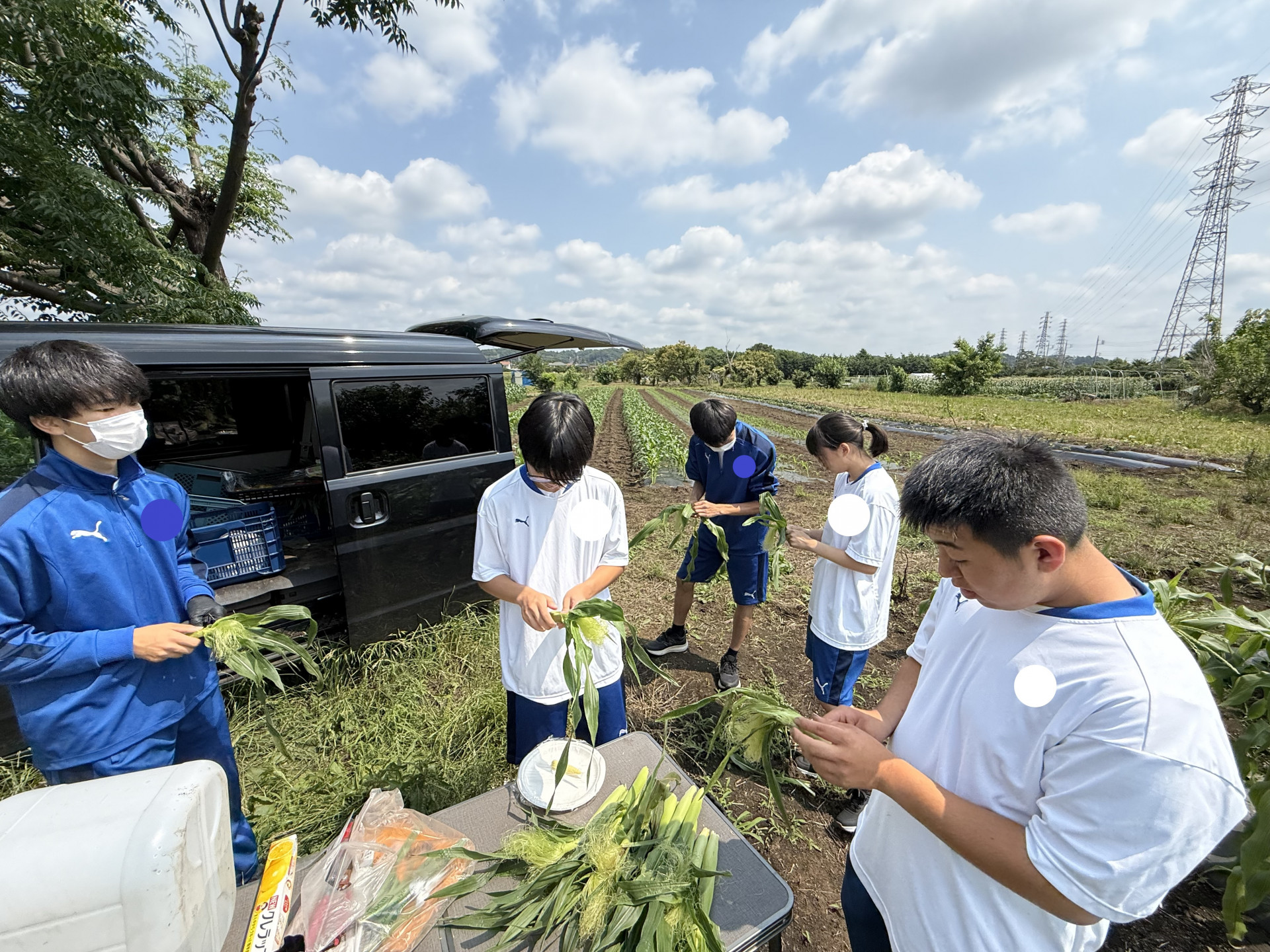 R8_0612（地域と農業ヤングコーン収穫①）