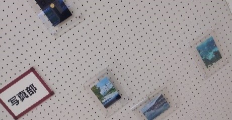写真部