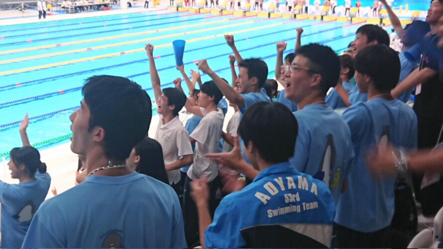 446e7b98-7846-4dec-a2c6-0b49315275ce