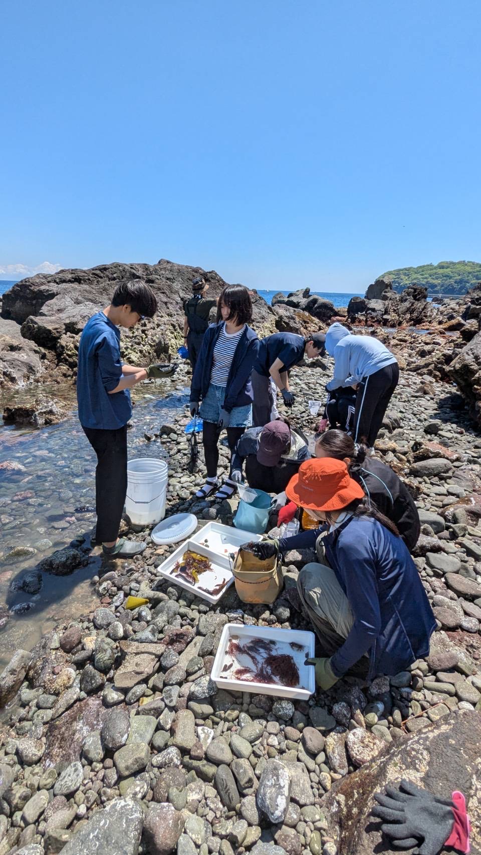 生物3