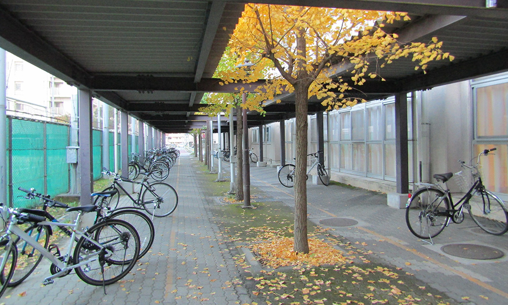 自転車置き場