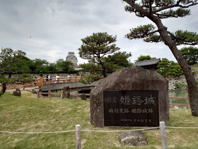 1749205205308