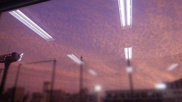 DSCN8054.JPG