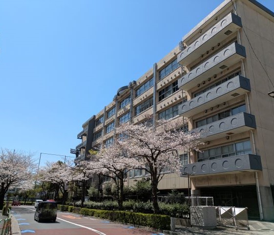 PXL_20250404_023911664