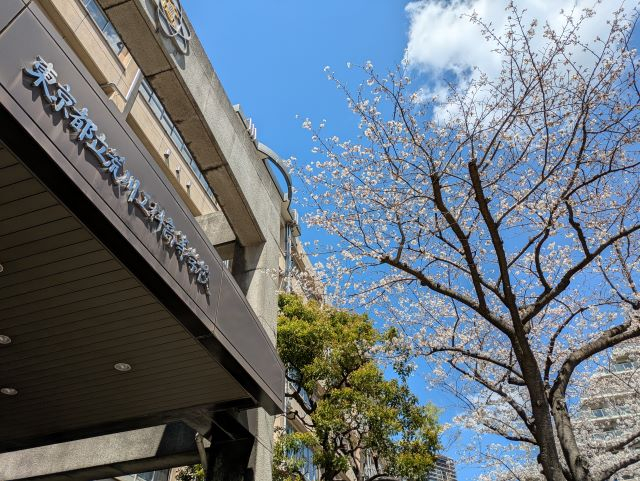 PXL_20250404_024033199