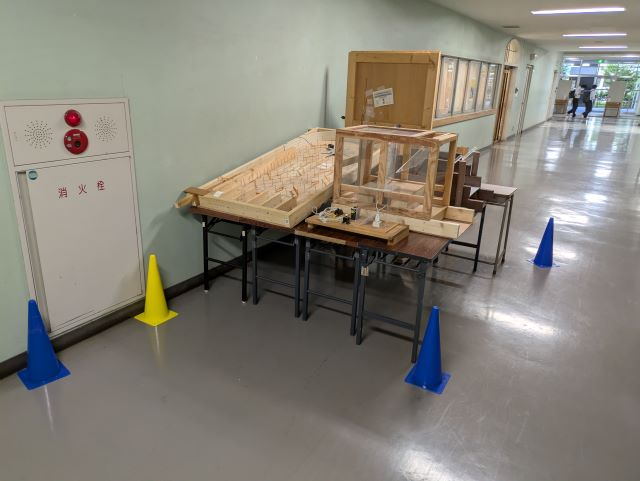 PXL_20250528_072629320