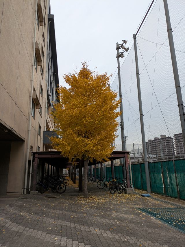 PXL_20251203_035438916