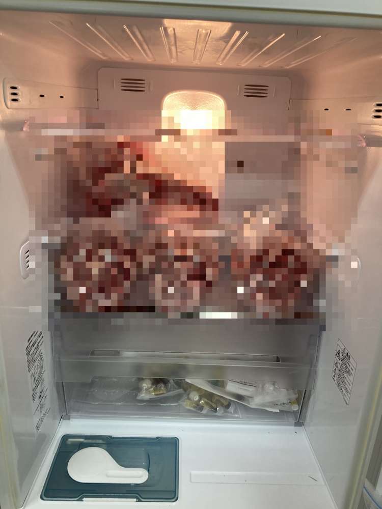 pig15