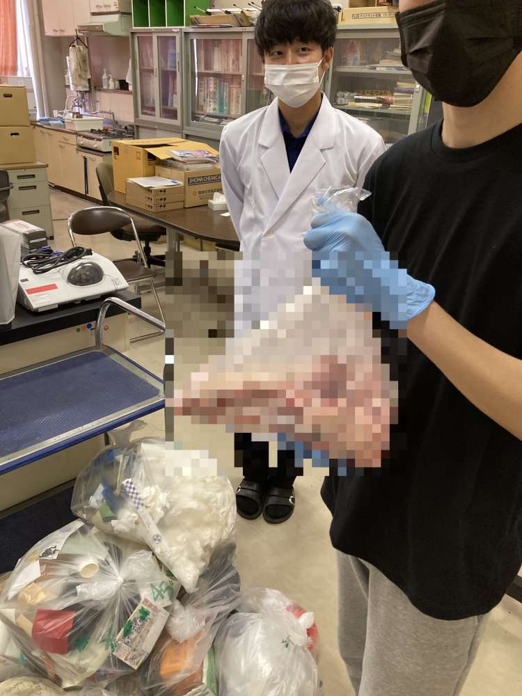 pig26