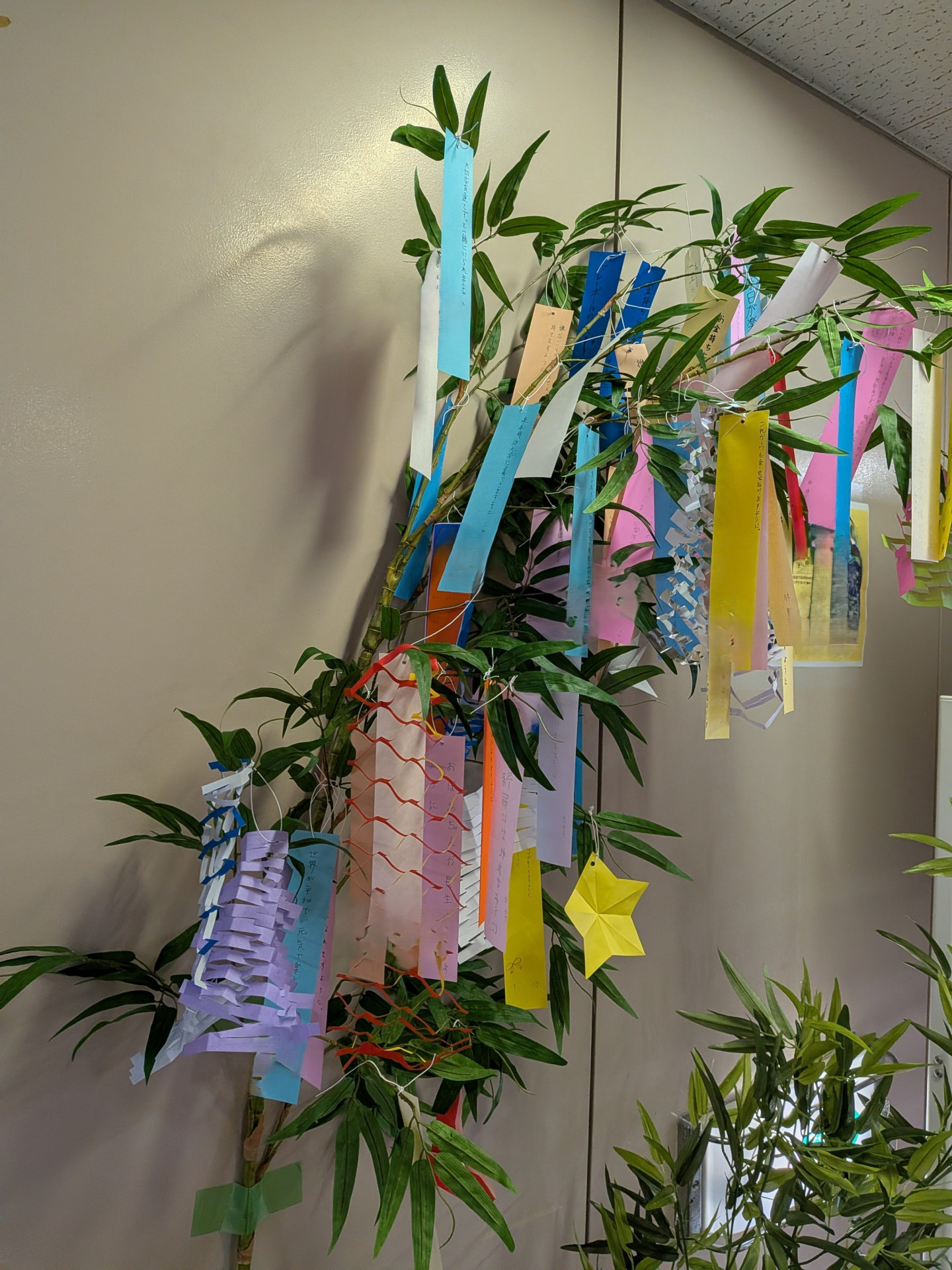 tanabata