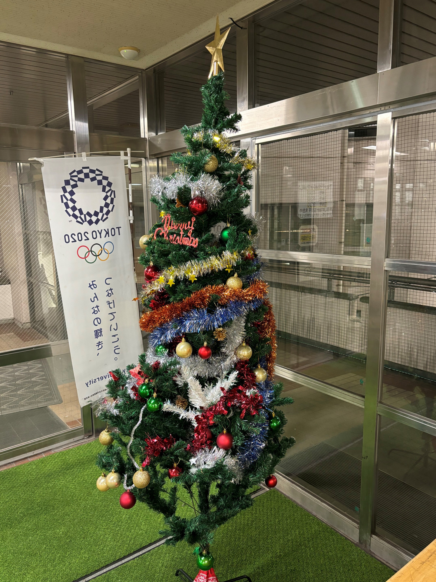 クリスマスツリー