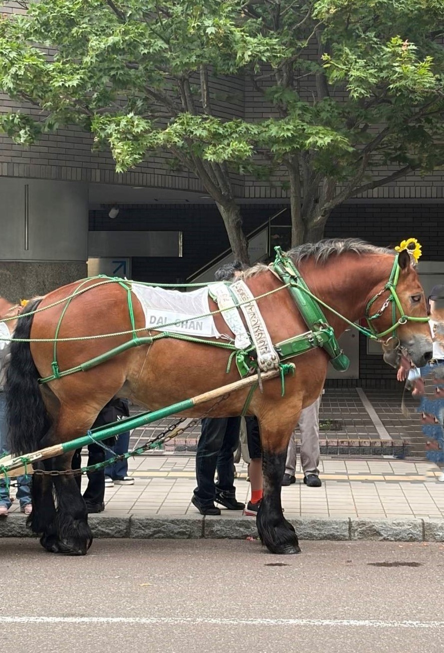 修学旅行11