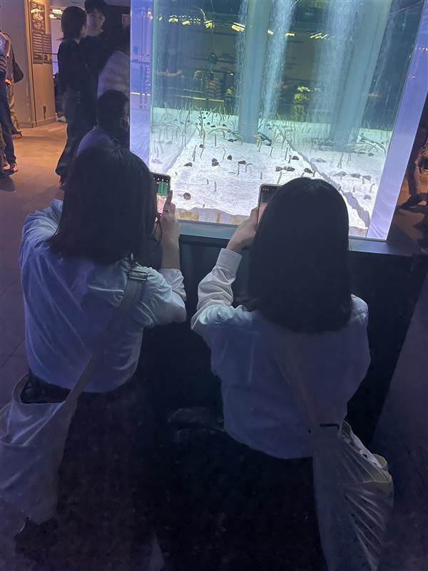 撮影２