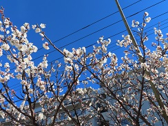 ２６期４.JPG