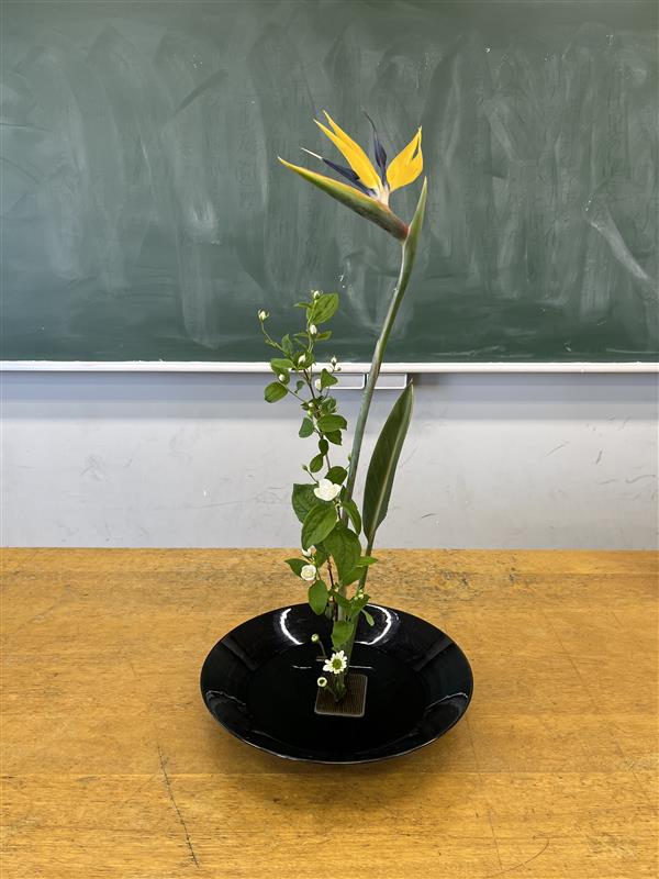 0508華道①