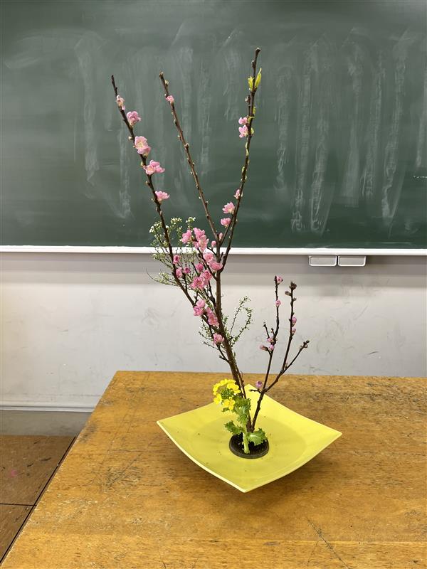 R6_華道0227①