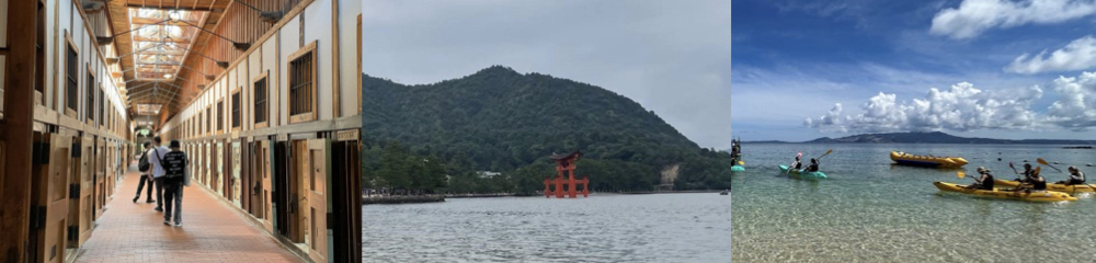 修学旅行の写真