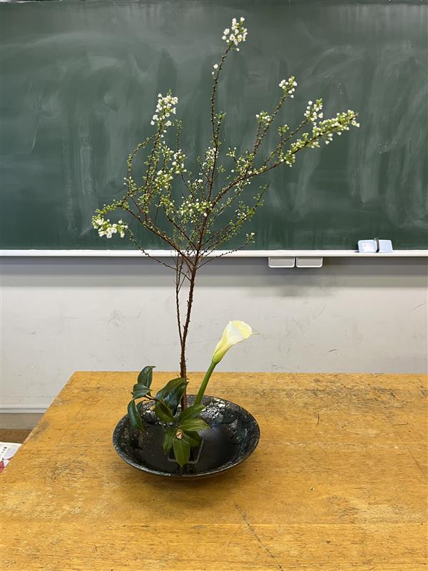 華道0219④