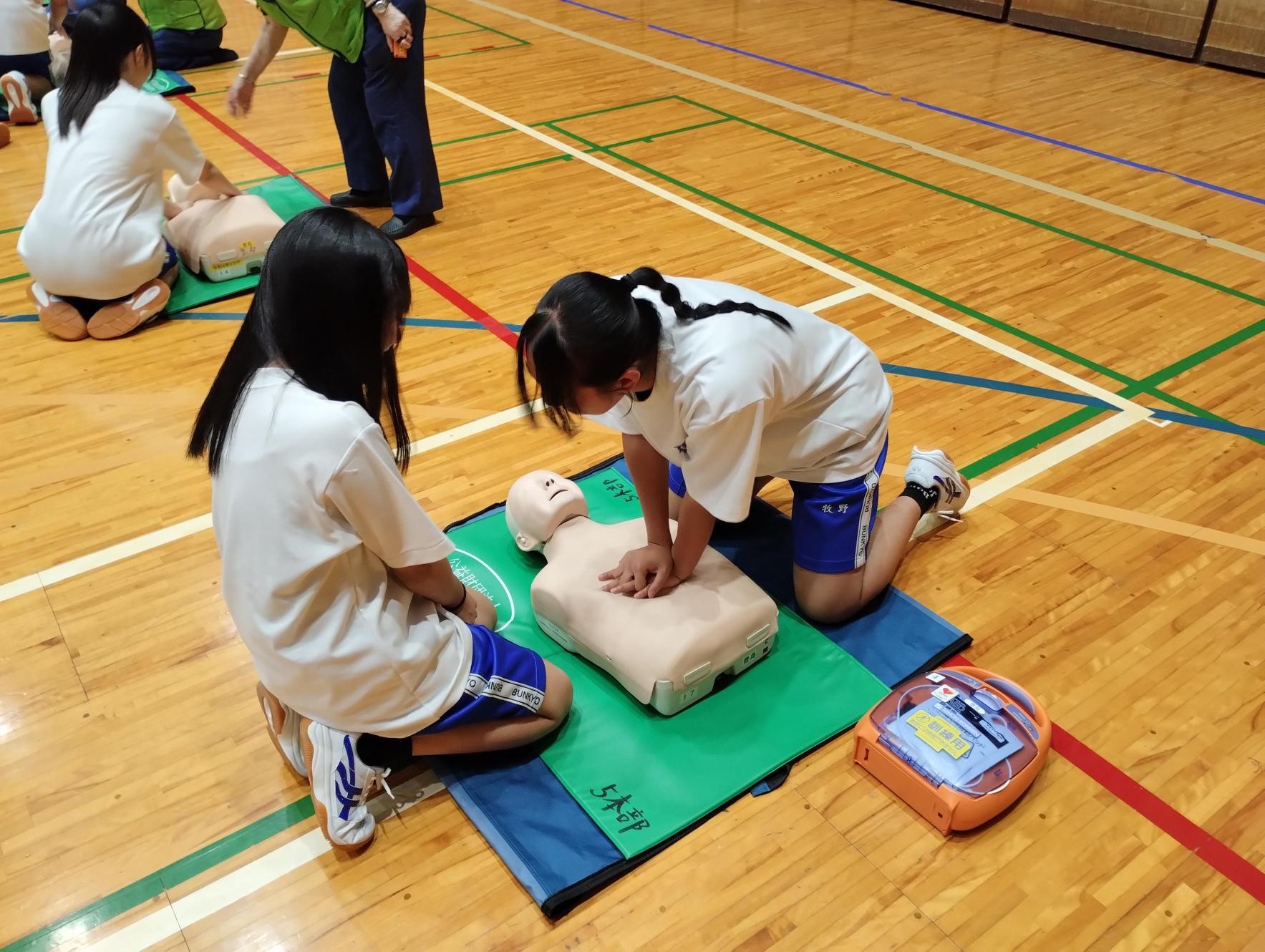 AED