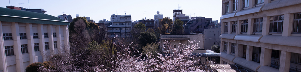 校舎遠景