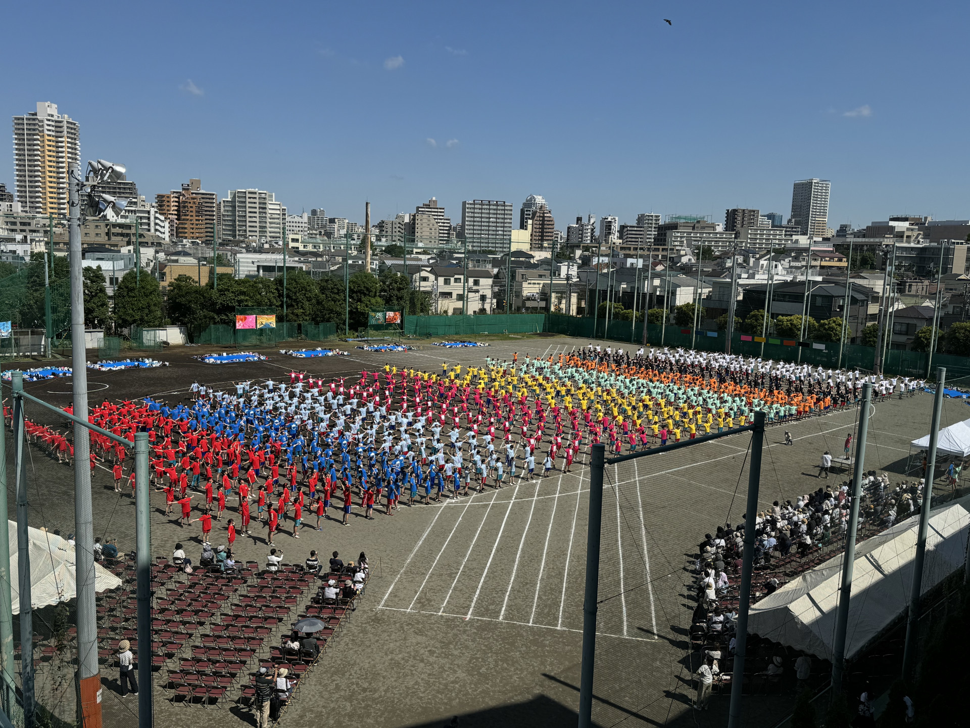 ラジオ体操上から