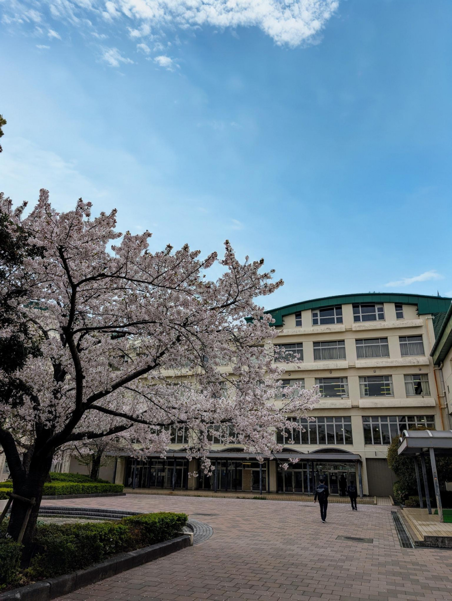 始業式の登校の様子1
