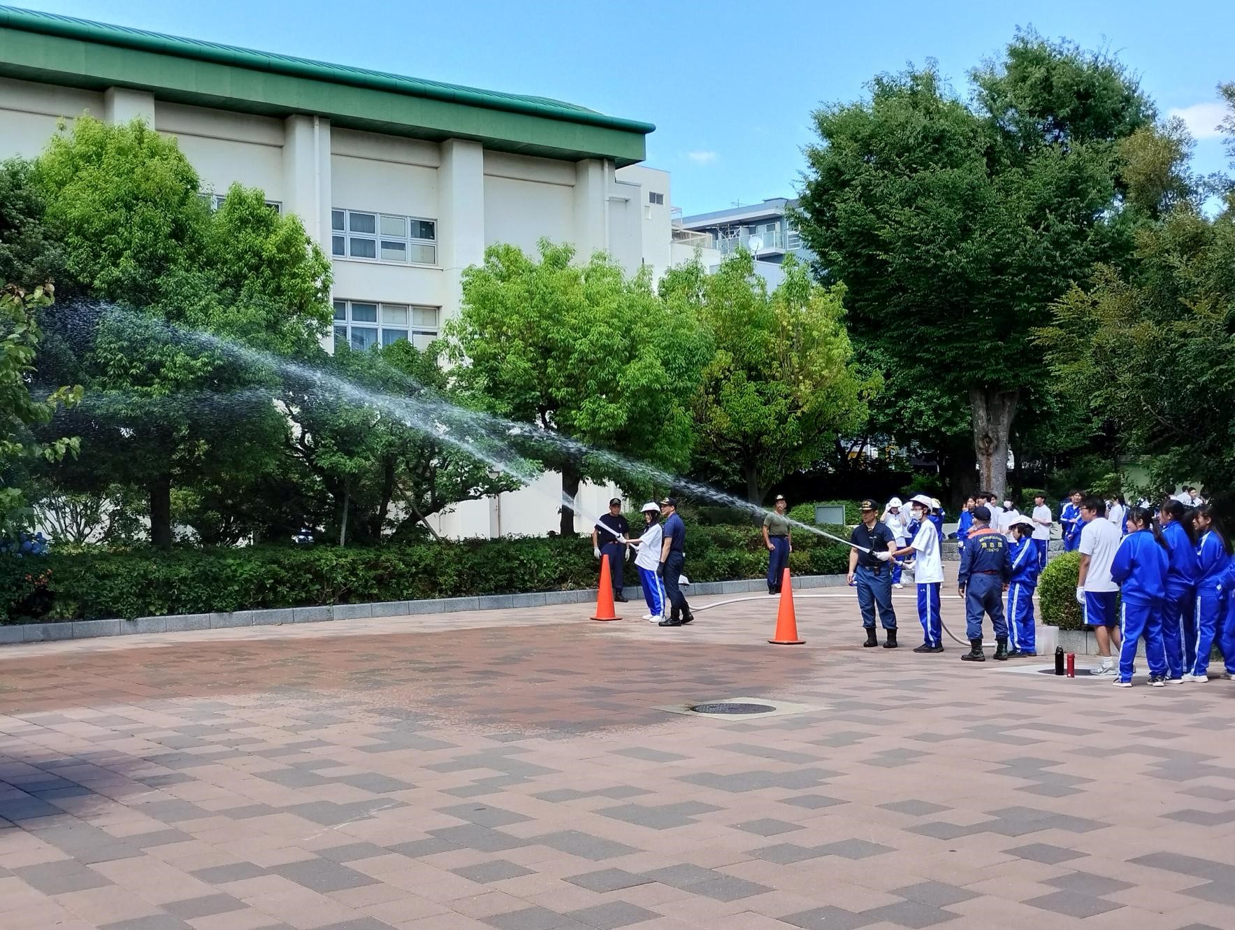 放水