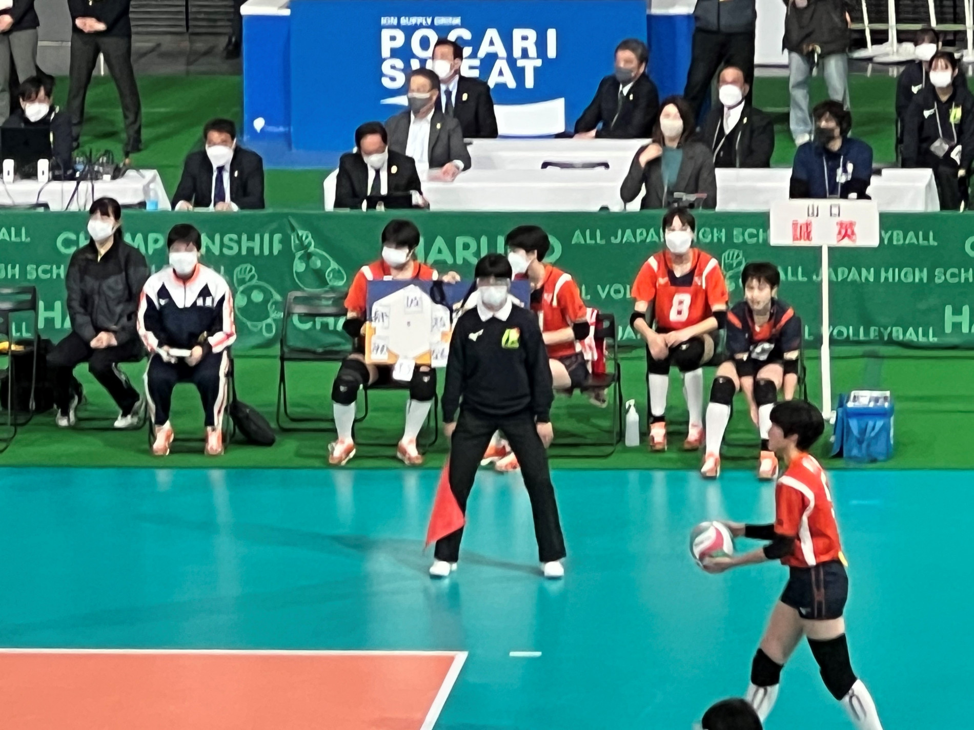 春高