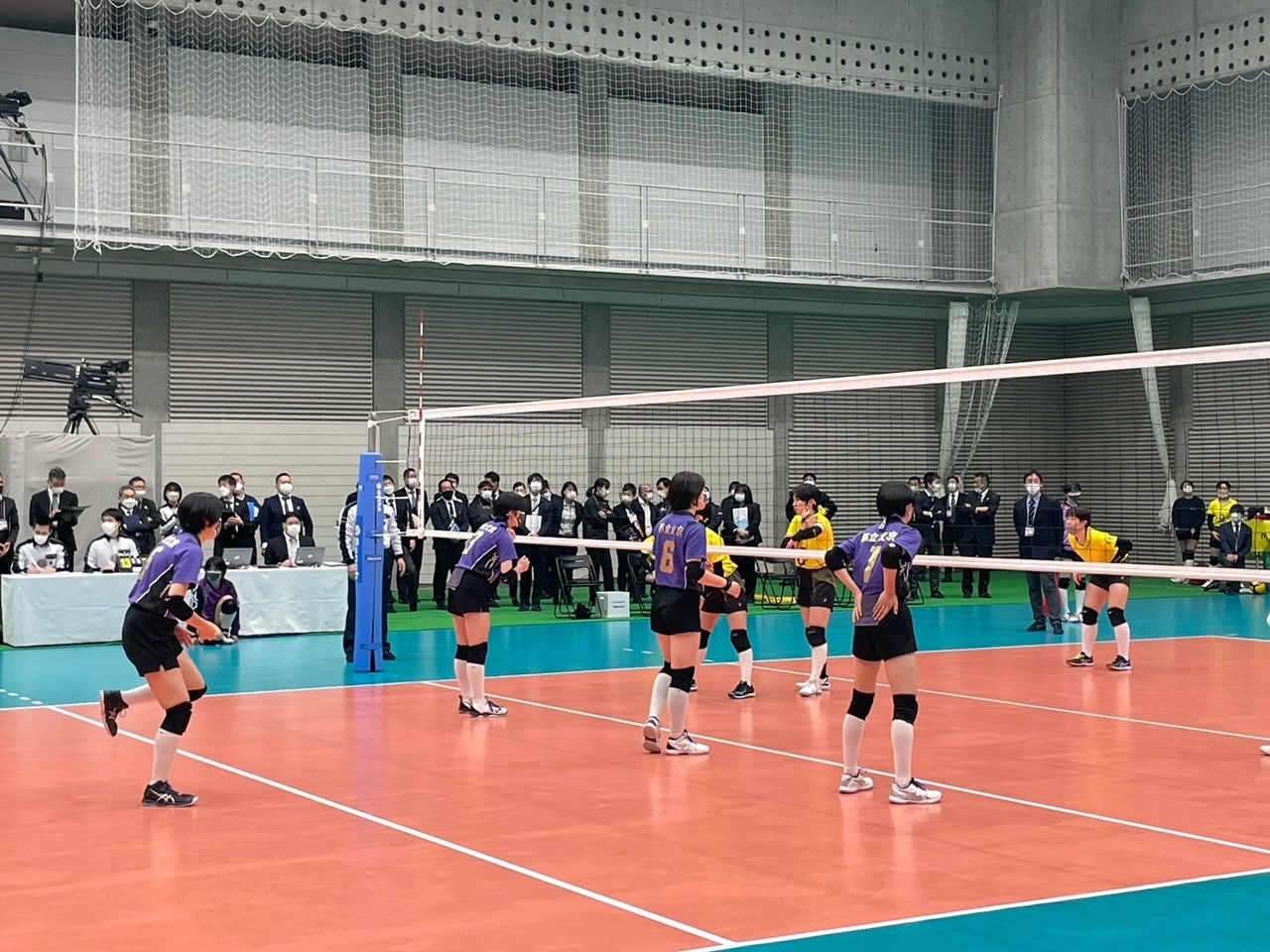 春高8