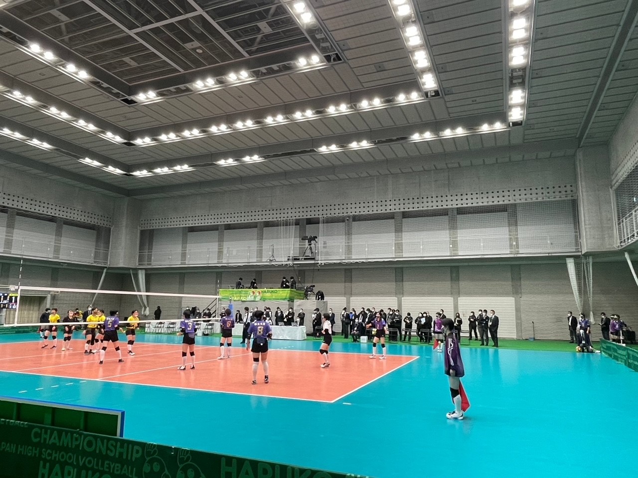 春高9
