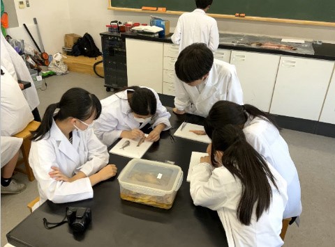 生物部