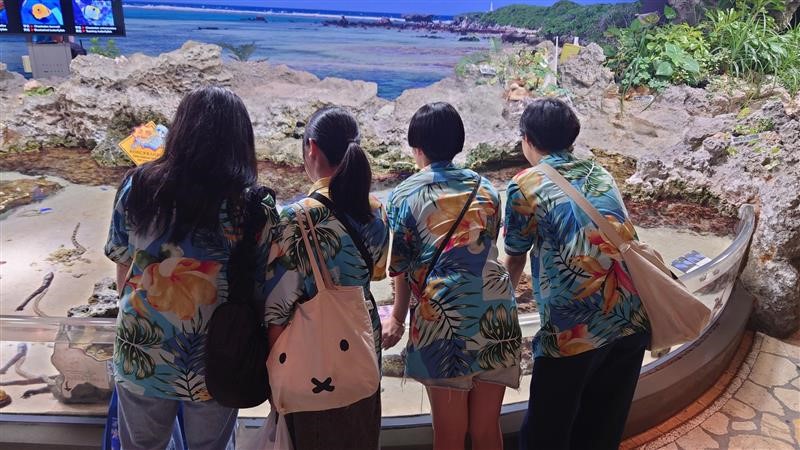 美ら海水族館